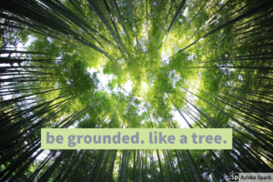 Beautiful photo looking up at tall green trees with sunlight shining through. There is also a saying typed on top, "be grounded, like a tree."
